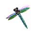 
glass Dragon Fly 